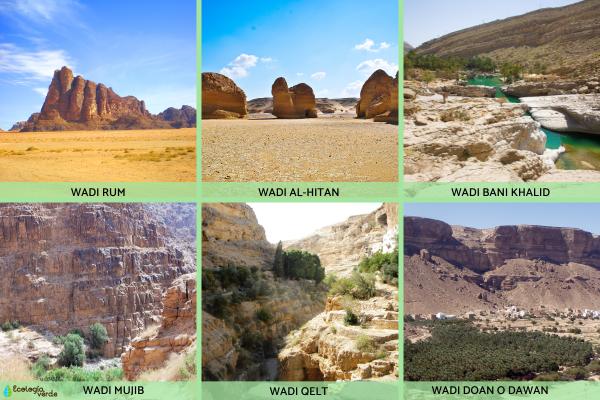Uadi or Wadi: What is it, how it is formed and its difference with a cannon - examples of uadis or wadis in the world