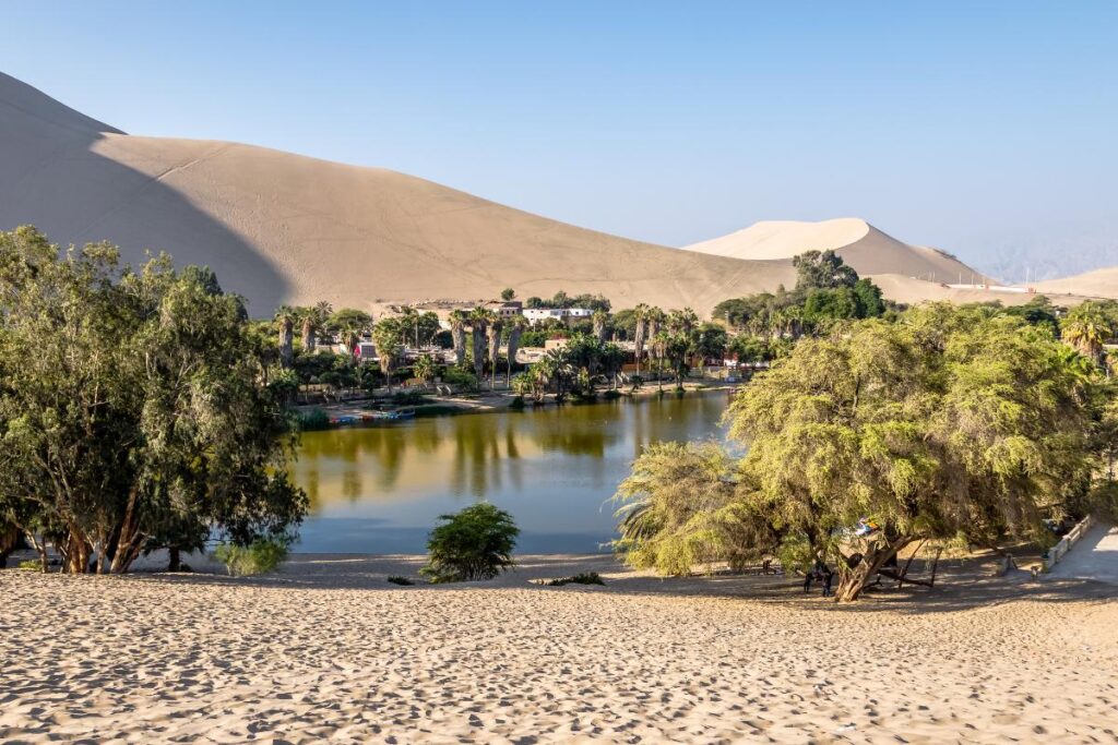 Oasis: What is it, how it is formed and examples - Evidence Network