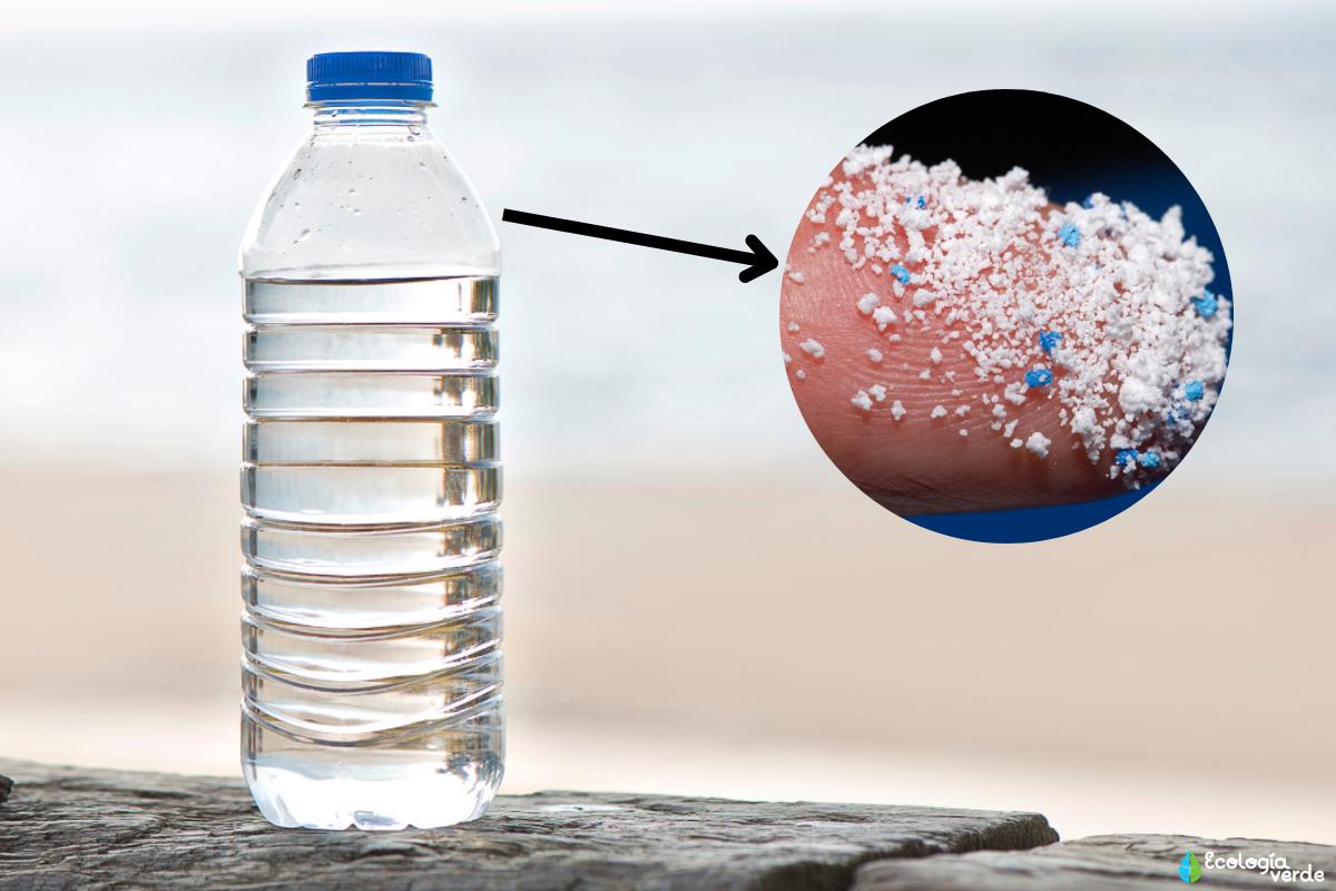 Microplastics in bottled water: what are, types and how to eliminate them