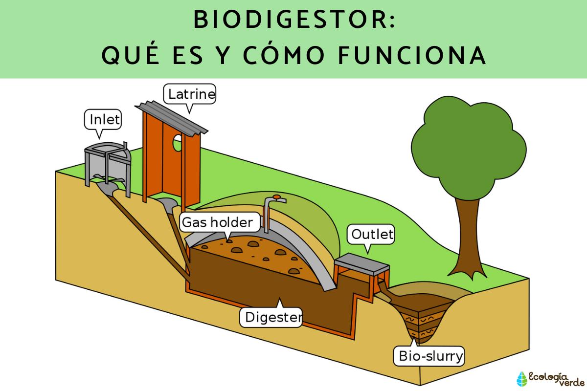 BIODIGESTOR: What is and how works