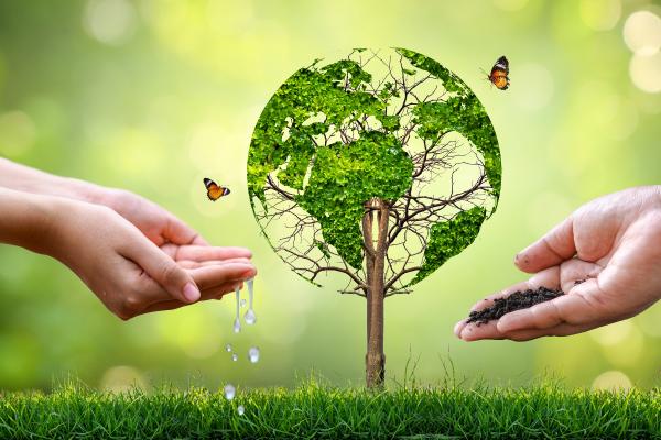 International Day of Biological Diversity: What is it, when it is, why it is celebrated and phrases - How to celebrate the International Day of Biological Diversity