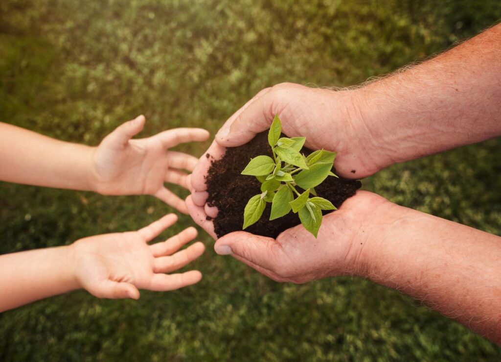 Ecological awareness: what is and its importance - Evidence Network