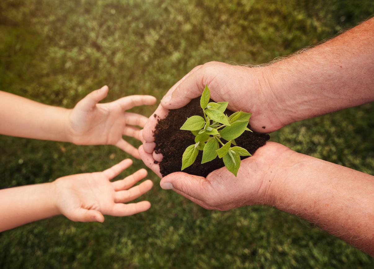 Ecological awareness: what is and its importance