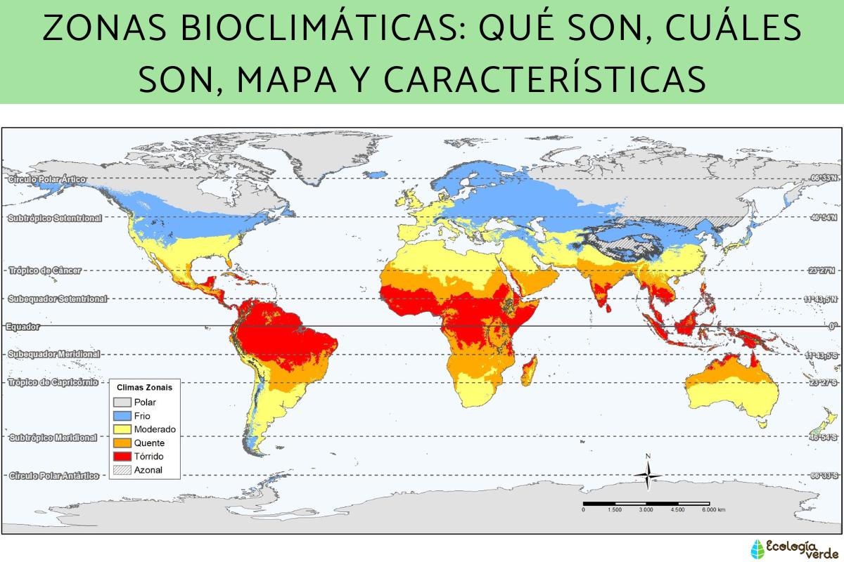 Bioclimatic areas: what are, what are, map and characteristics