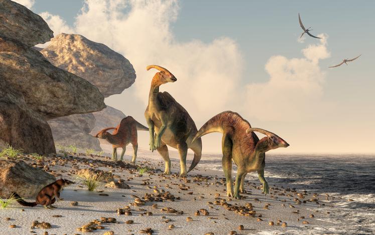 Paleoecology: What is, characteristics and importance