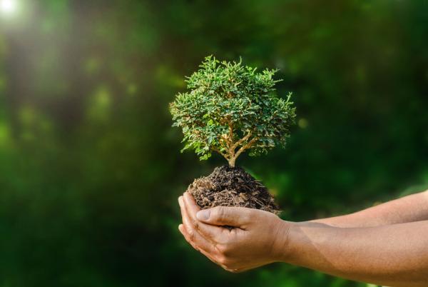 Difference between Environmental Law and Ecological Law - What is Environmental Law