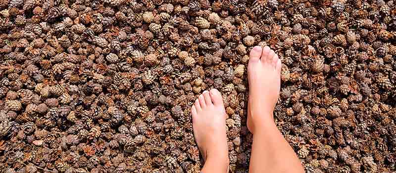 Grounding techniques: what they are and for those who can be useful
