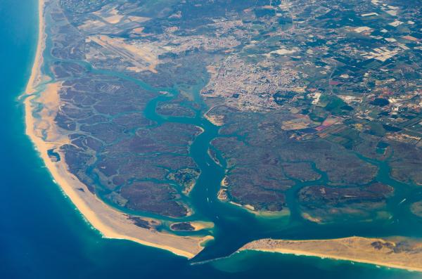 What is a estuary, how it is formed and examples - what is a estuary
