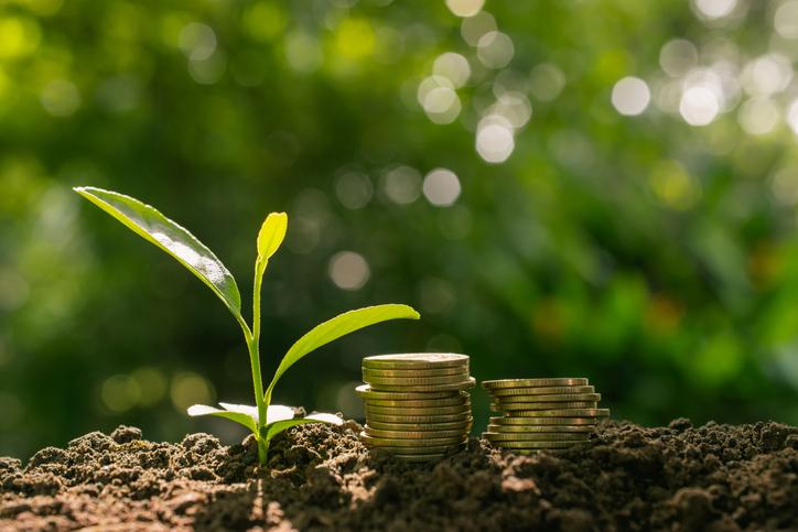 Natural capital: What is and examples