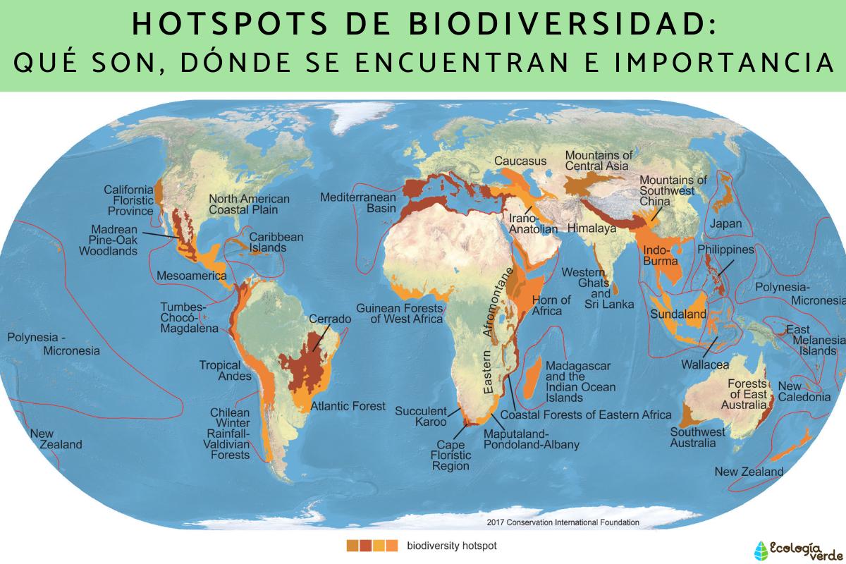 Hotspots of Biodiversity: What are, where are and importance
