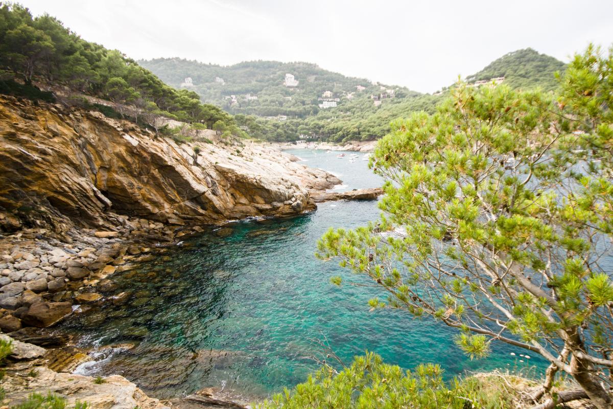 Coastal: What are types, ecosystem and examples