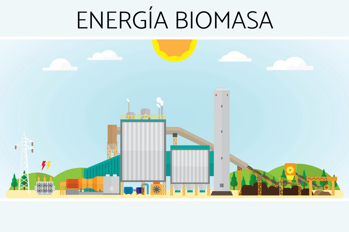 Biomass energy: advantages and disadvantages