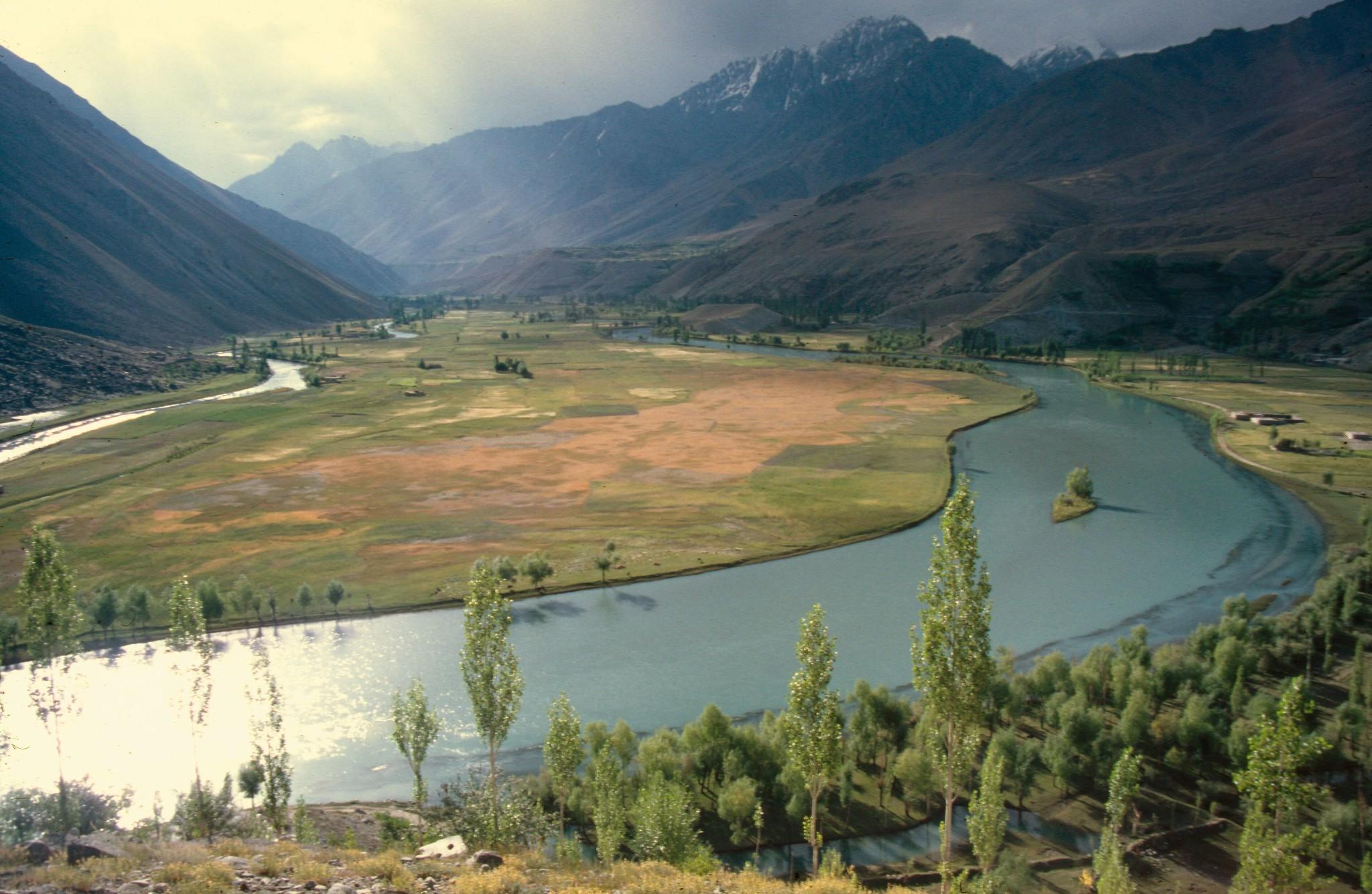 Alluvial plain: What is, characteristics, flora and fauna