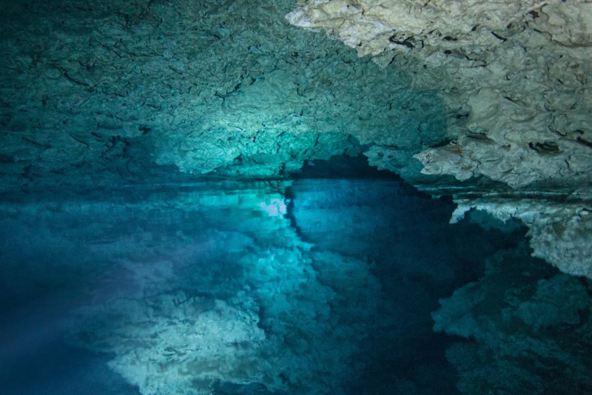 Haloclina: What is it, where is it and guys