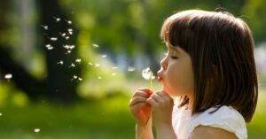 L’importance de nourrir « le sentiment de nature »