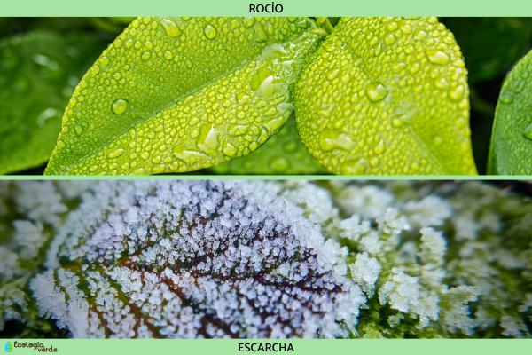 Hydrometeoros: What are and types - particle deposits