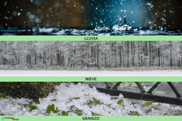Hydrometeoros: What are and types - precipitation particles