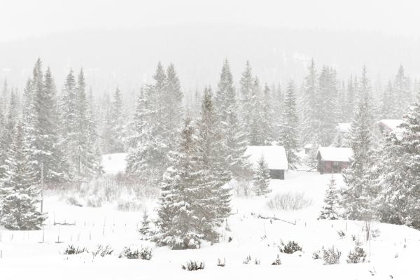 Hydrometeoros: What are and types - particles raised by the wind