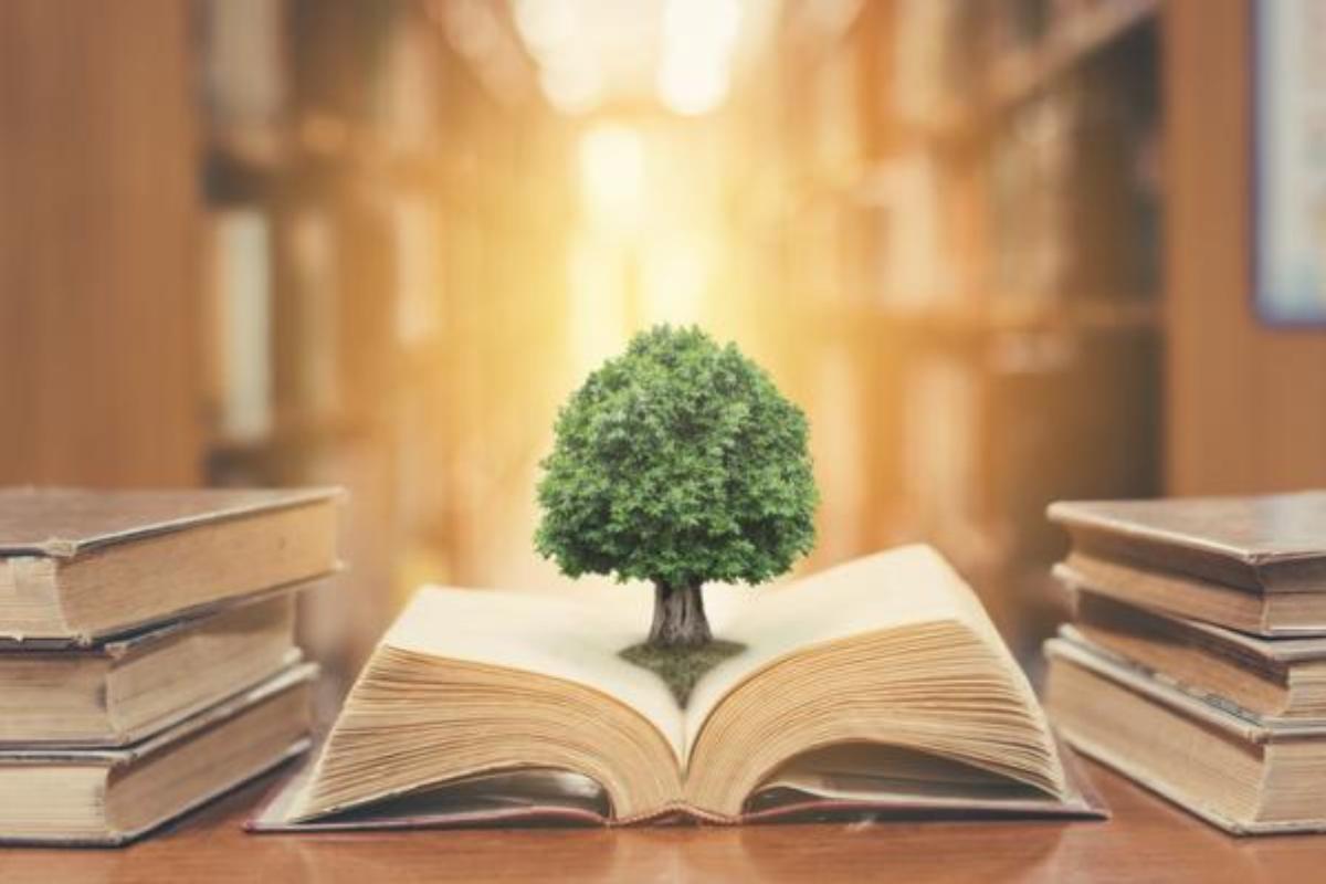History of Ecology