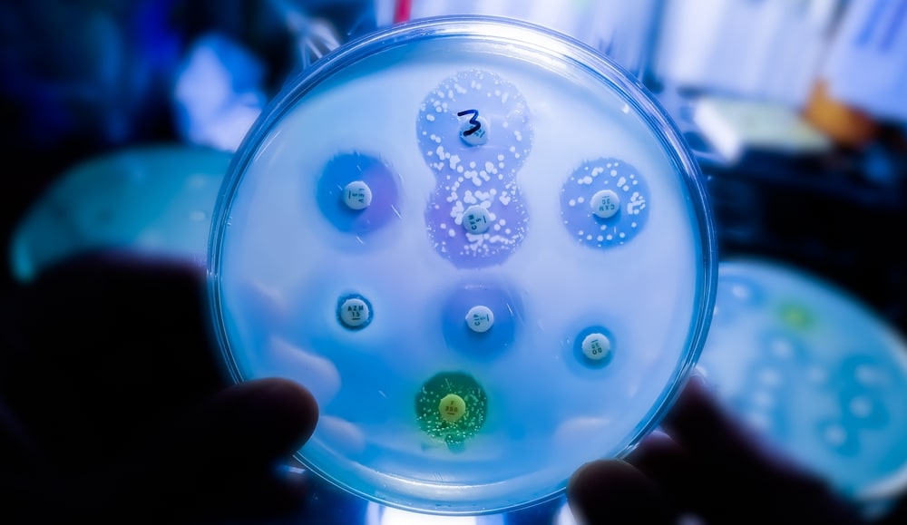 Antibiotic resistance does not increase indefinitely