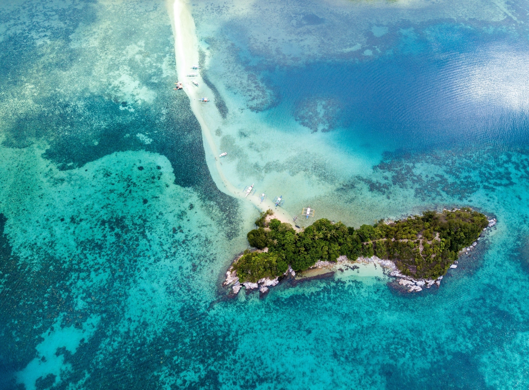 Forbidden to land in this earthly paradise: the Brazilian island is inhabited only by snakes