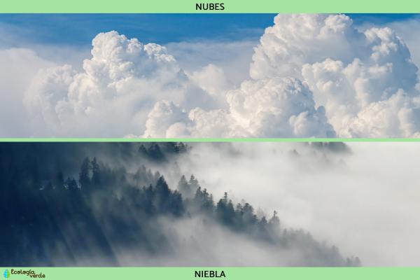 Hydrometeoros: What are and types - suspended particles