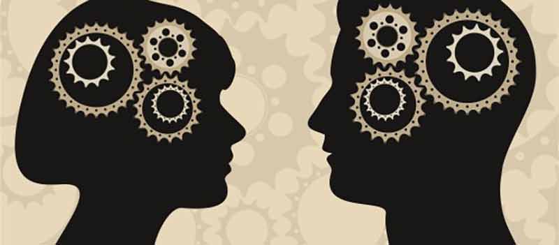 Love chemistry: what happens in the brain of a lover