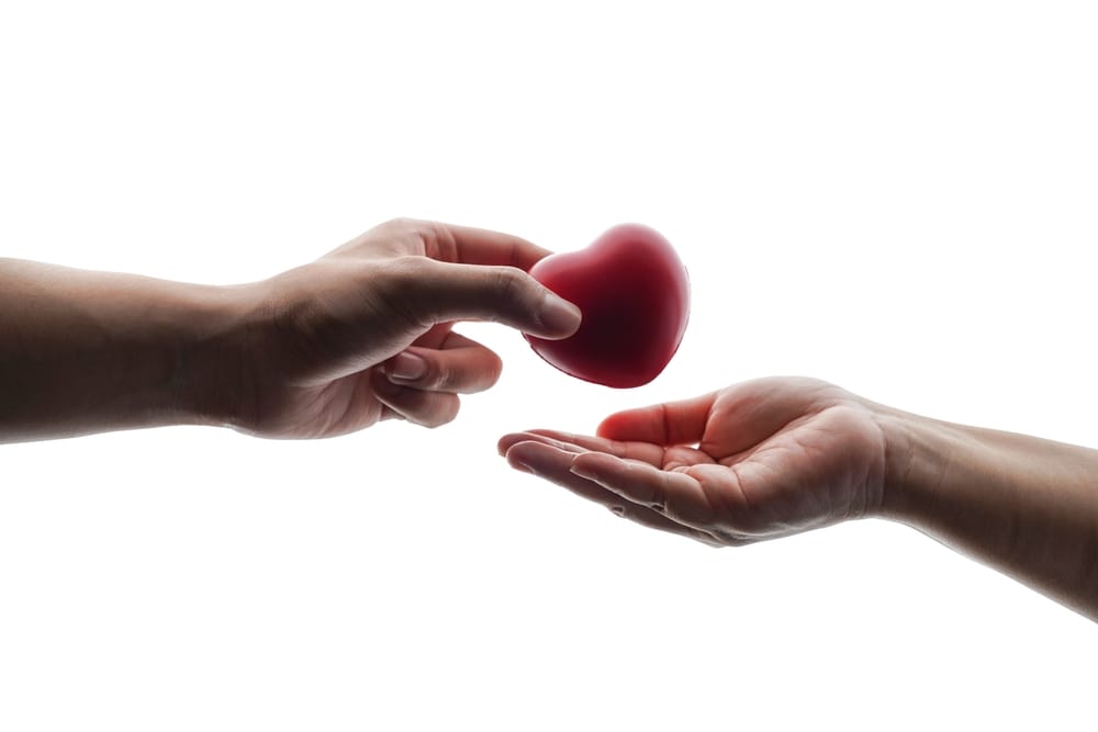 National day on organ donation and transplantation: those who save life