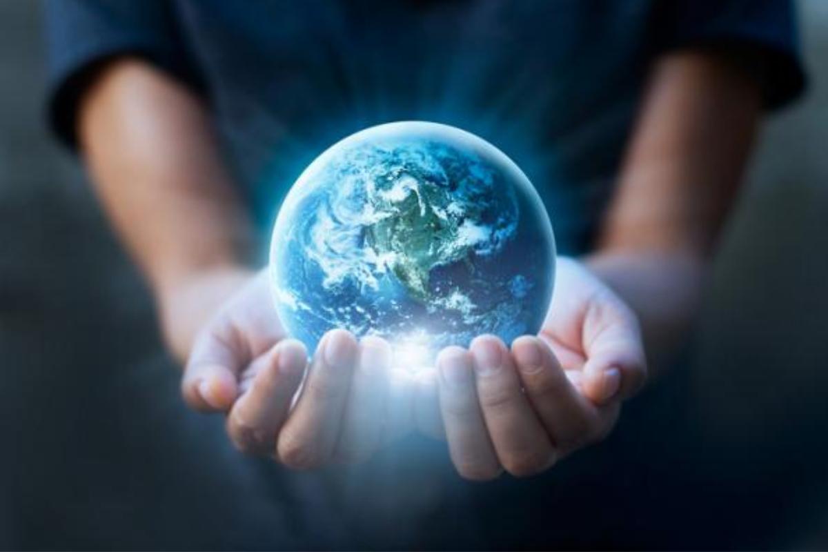 What is environmentalism and its difference with ecology