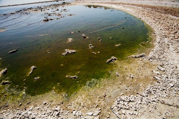 Environmental problems in Uruguay - Water pollution