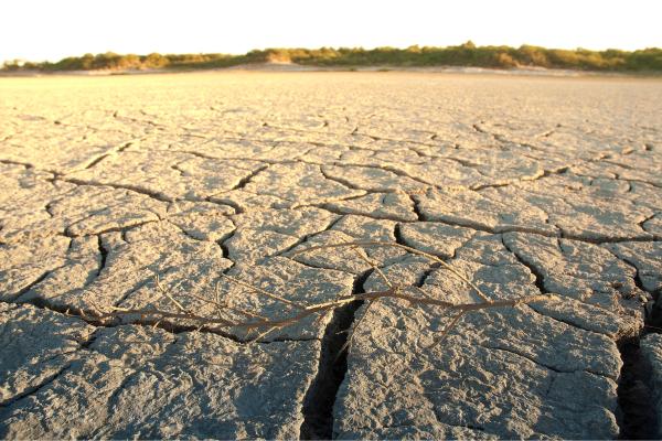 Environmental problems in Uruguay - Soil degradation