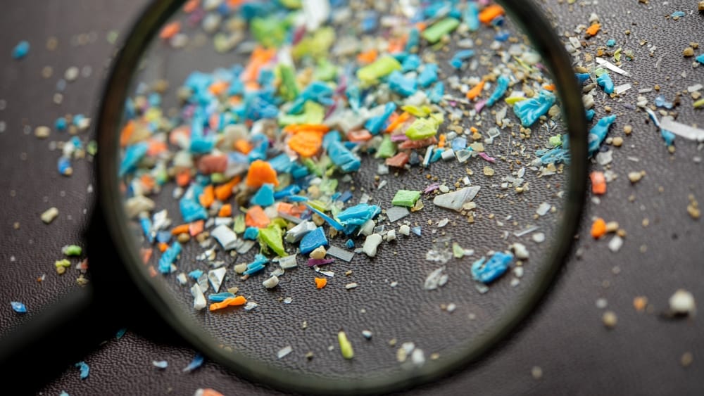Inhaled microplastics make macrophages less effective in the lungs