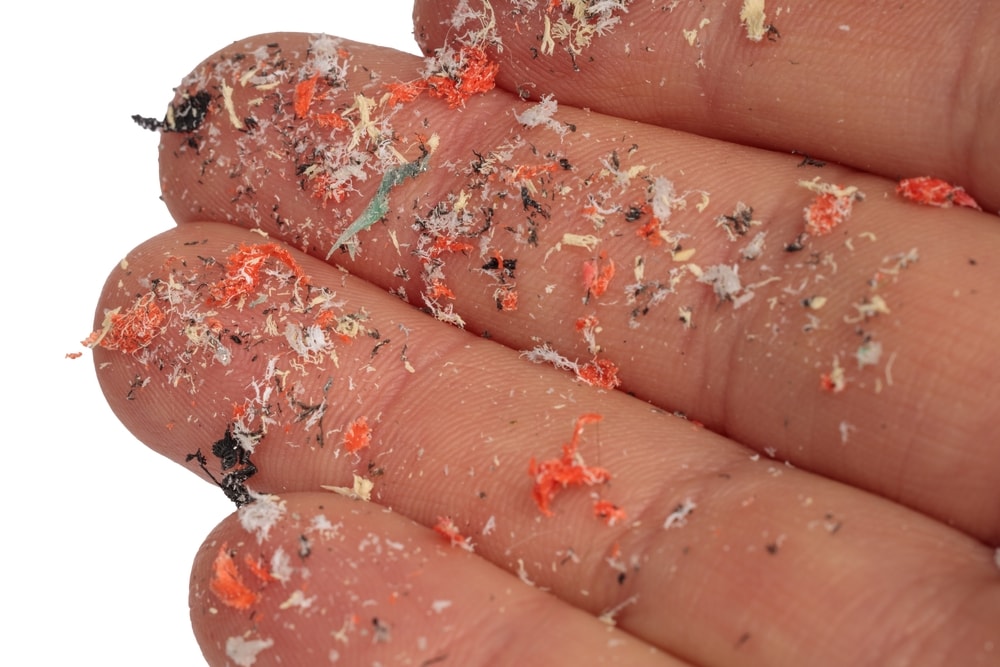 Nanoplastics, Trojan horses for heavy metals