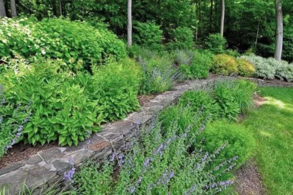 Ecological decoration: Ideas and definition - Ecological decoration with plants