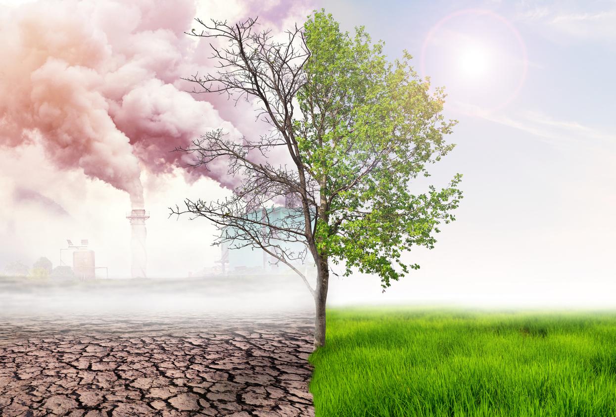 Climate changes throughout history