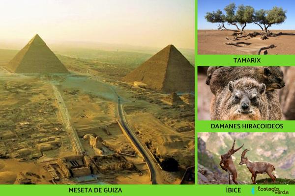 Natural regions of Egypt - Eastern Desert