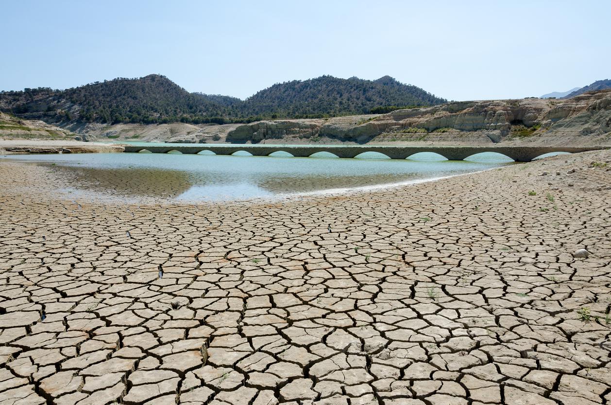 Natural resources depletion: causes and consequences