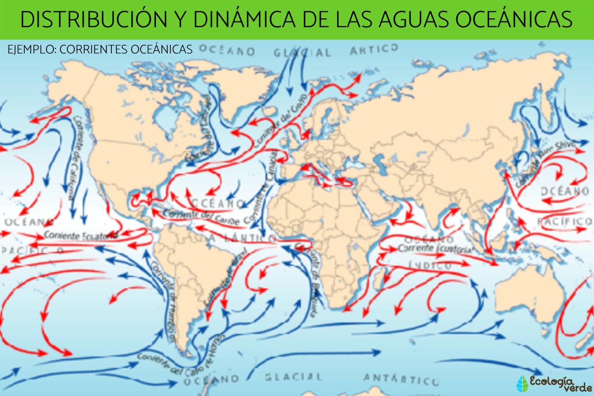 Distribution and dynamics of oceanic waters