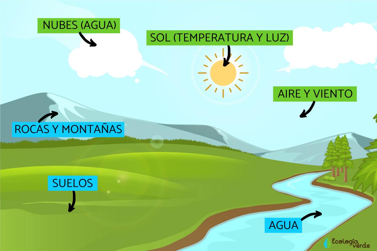 Abiotic factors: what are, characteristics and examples