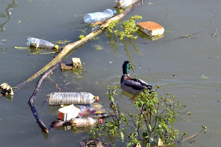 How water is contaminated