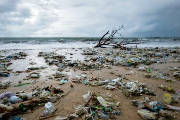 What are pollutant agents - Pollutant soil agents
