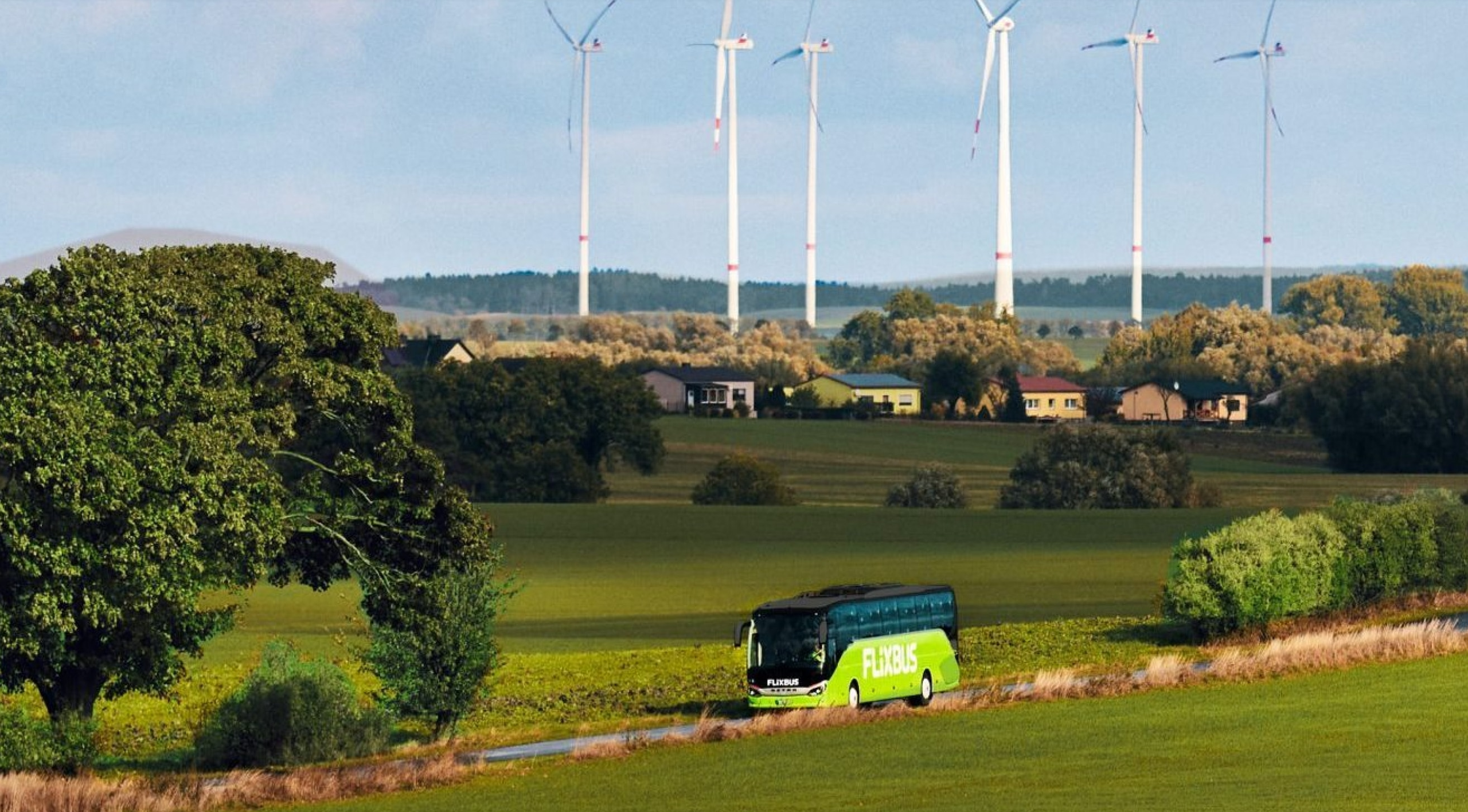 Flixbus discount code: where to find it, how to use it and really save on travel