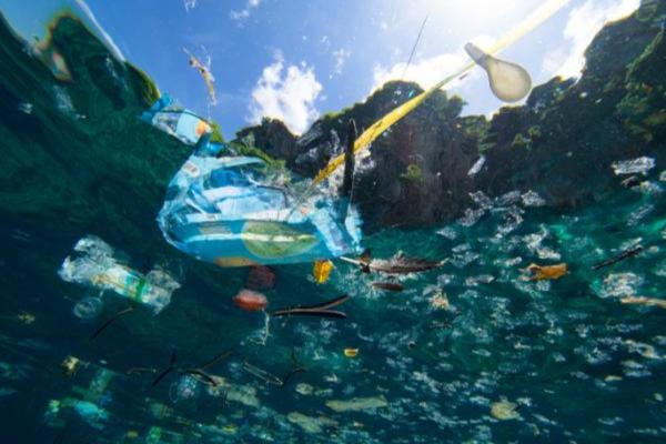 Plastics in the sea: Causes, consequences and solutions - Causes of plastic in the sea