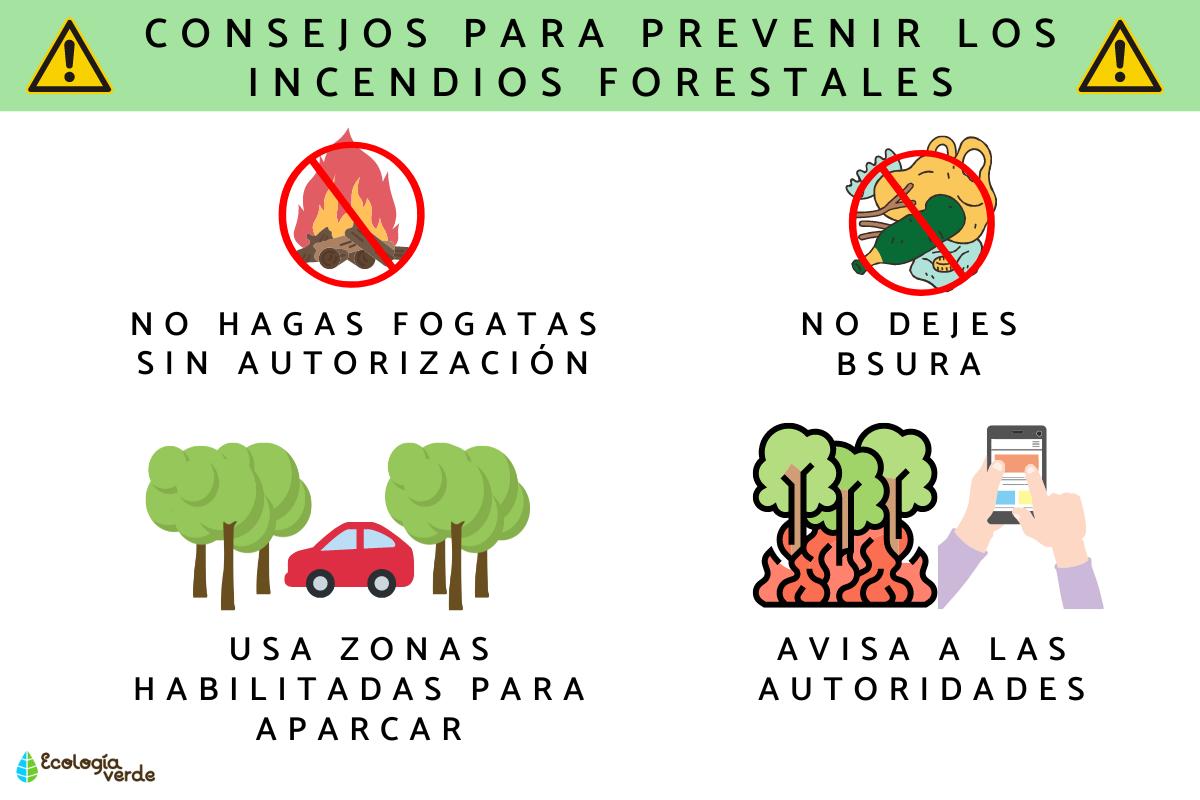 How to prevent forest fires