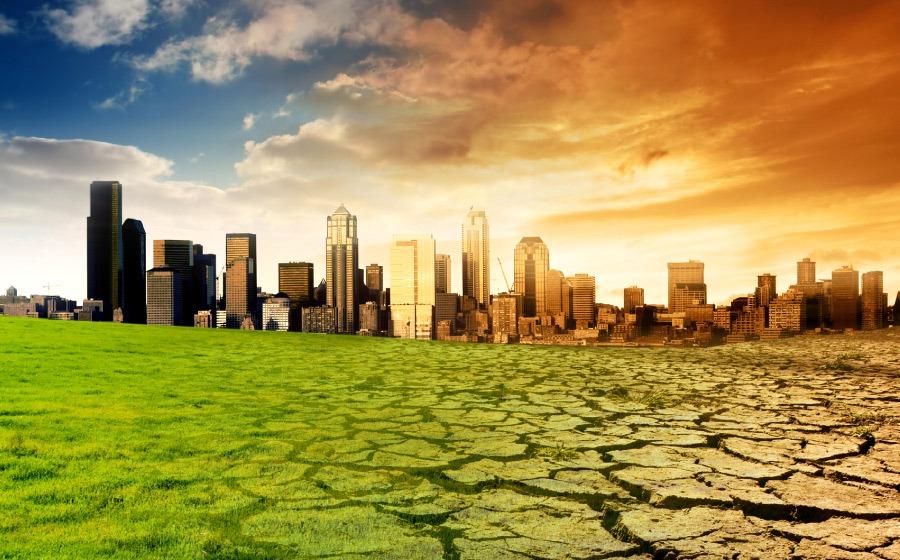 Examples of natural and artificial changes in ecosystems