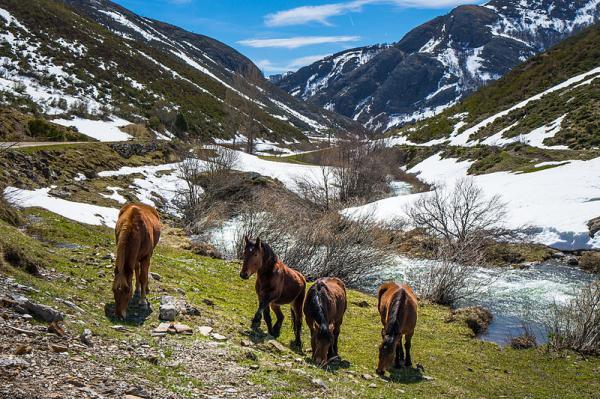 What are national and natural parks and their differences