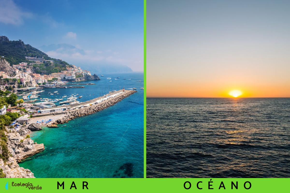 Difference between sea and ocean