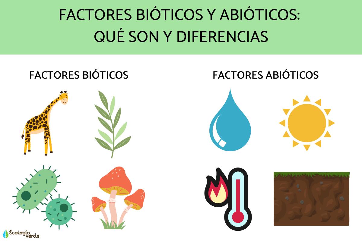 Biotic and abiotic factors: What are and differences