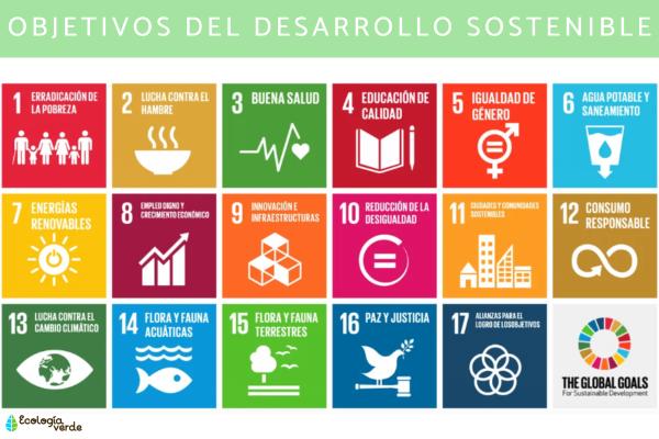 Sustainable Development: What is and examples - Sustainable Development Goals