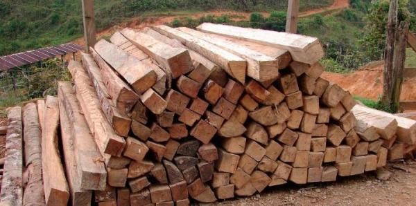 Causes of deforestation - causes of deforestation caused by man